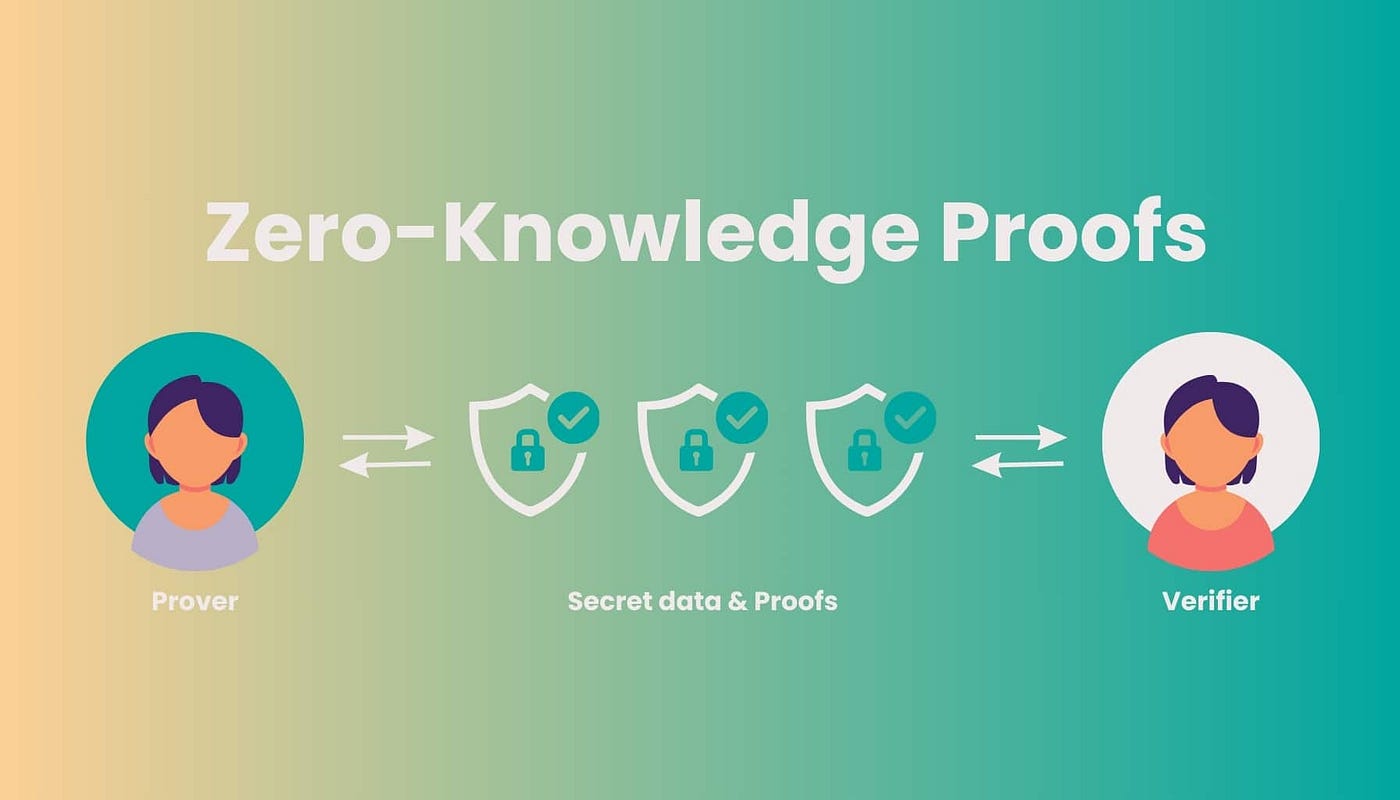 ZK proof generation selective disclosure