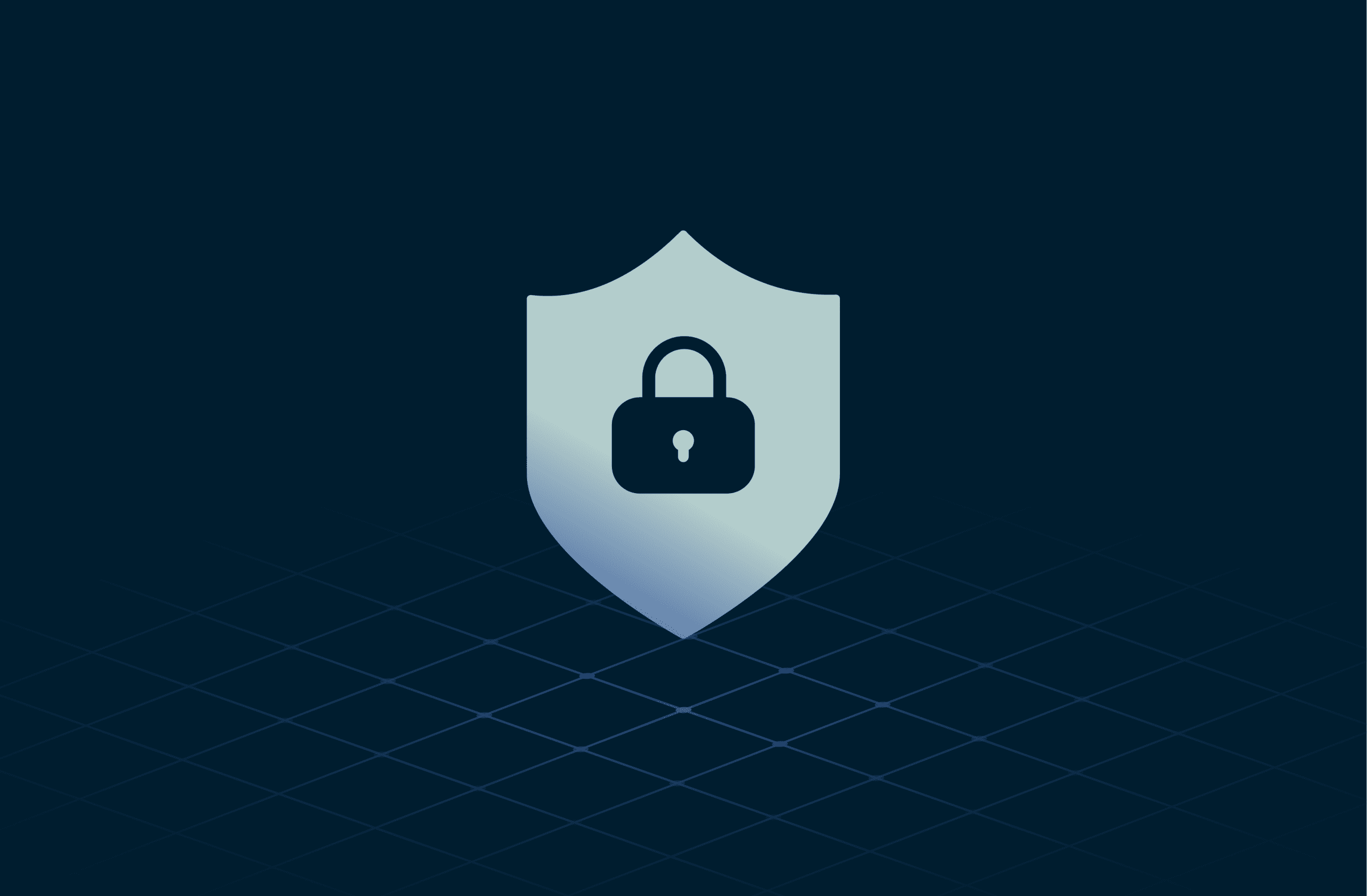 zero-knowledge proof privacy shield icon